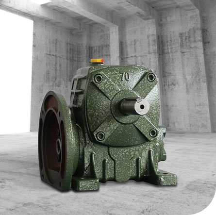 کاهش دهنده دنده WP Worm